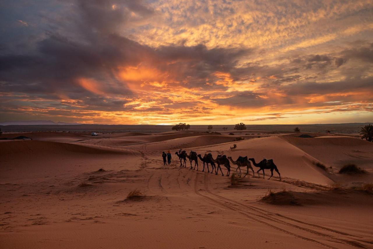 Paradis Du Sahara Мерзуга Экстерьер фото